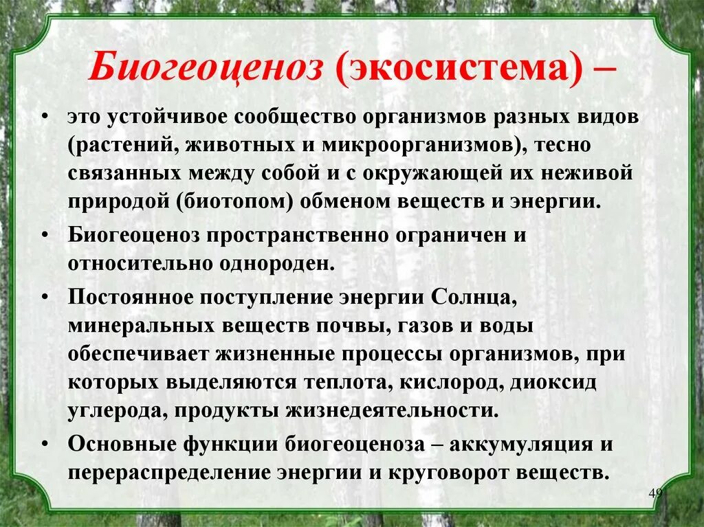 Что называют биогеоценозом
