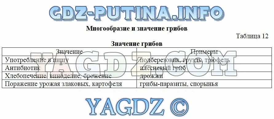 Грибы паразиты таблица. Составьте в рабочей тетради таблицу значение грибов. Таблица грибы паразиты 7 класс. Таблица по биологии 5 класс значение грибов в природе и жизни человека.