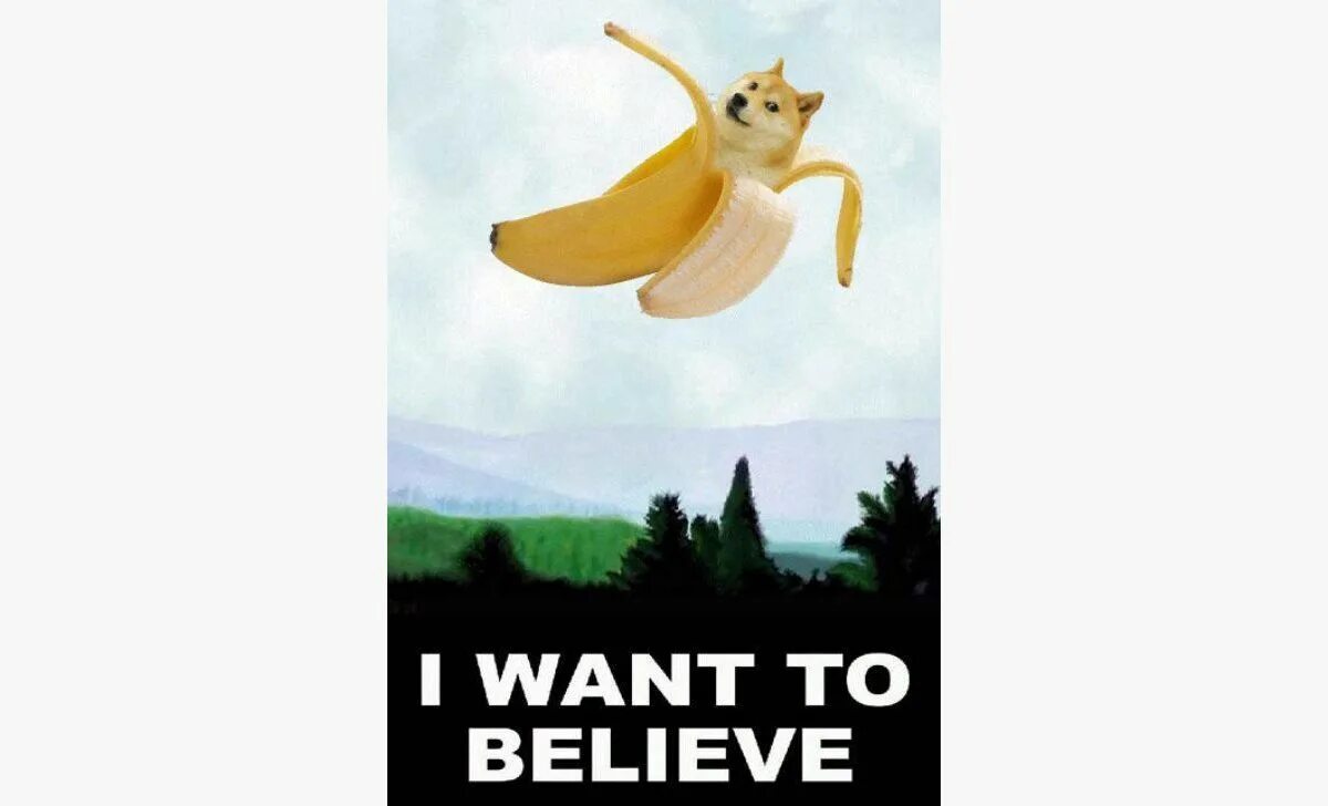 L want to take. I want to believe постер прикол. doge banana. i want ot believe. i want to believe мопс.