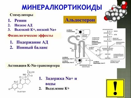 Альдостерон повышен