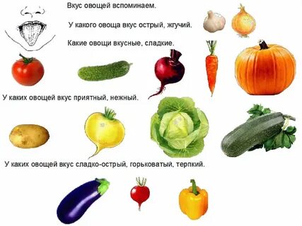 Описание про овощи