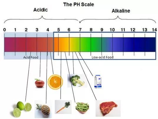 Шкала PH. Шкала кислотности. Шкала кислотности кожи. Шкала РН среды. Кислотность кожи
