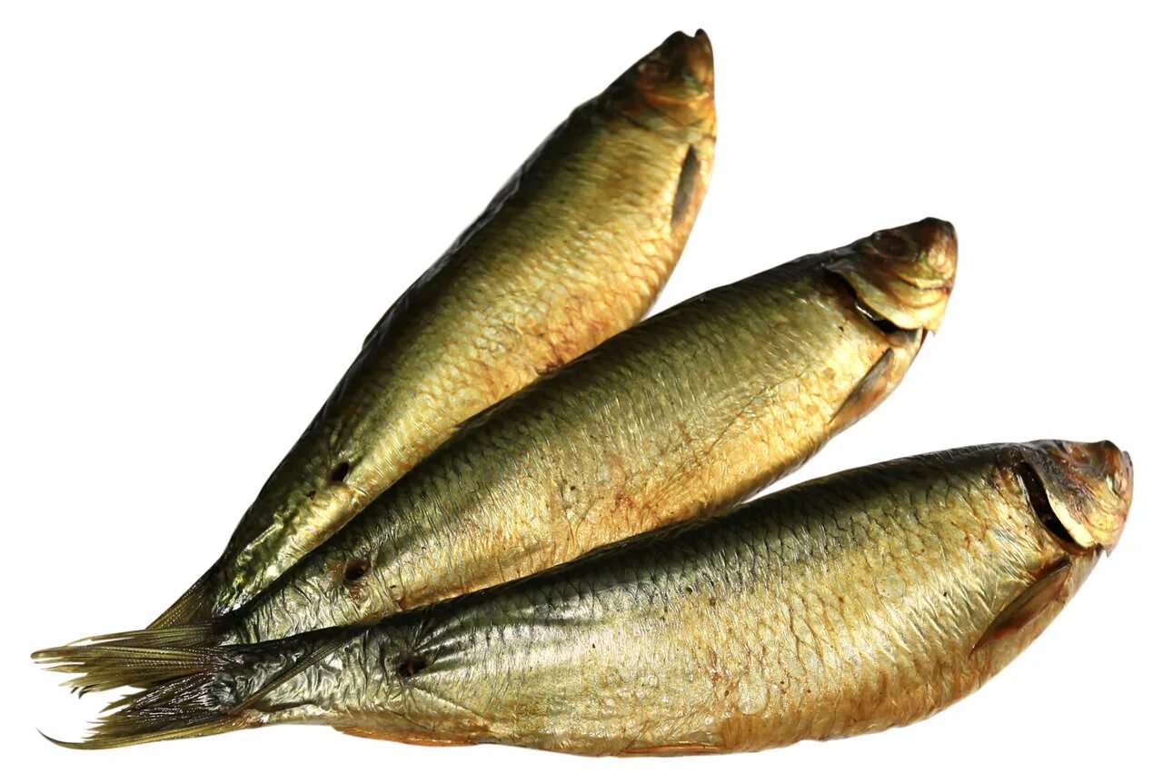 Рыба горячего копчения сайра. Сельдь иваси холодного копчения. Ставрида холодного копчения. Копчëная каспийская сельдь. Иваси холодного копчения.
