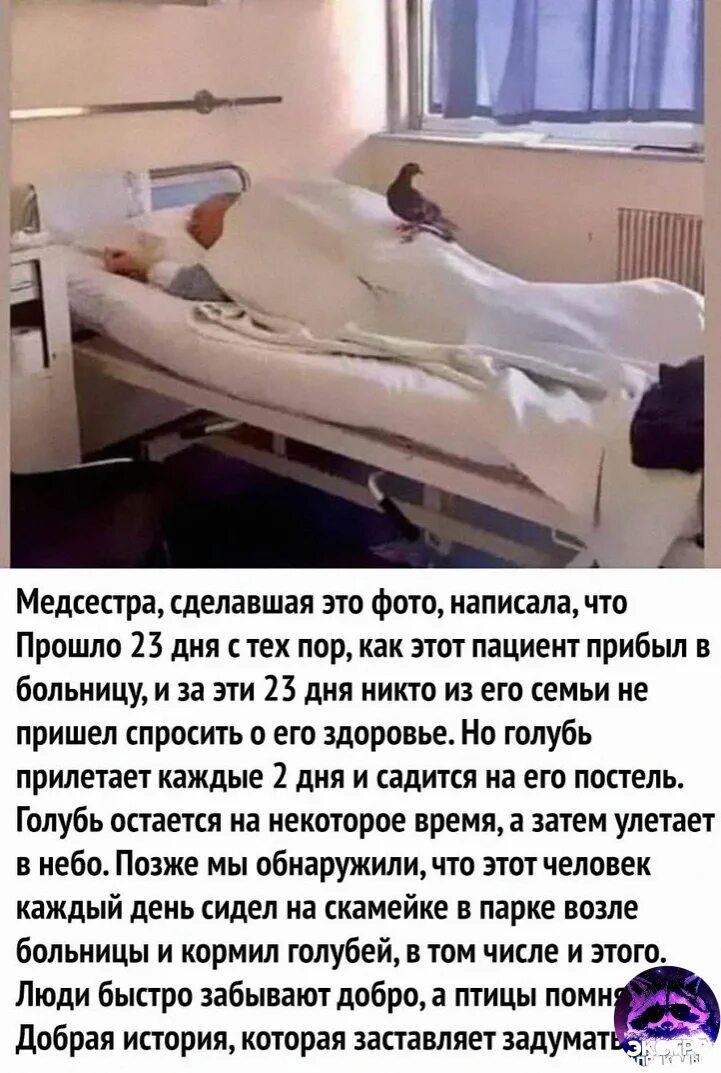 Дедушка заболел в больнице.