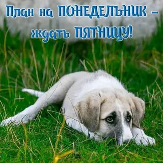 Позитивные открытки понедельник