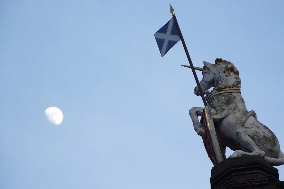 Scotland animal. Единорог национальное животное Шотландии. Единорог символ Шотландии. Юникорн символ Шотландии. Единорог со щитом Шотландия.