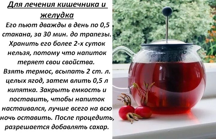 Сколько можно хранить отвар. Рецепты отваров. напитки полезные для кишечника. шиповник заварка в термосе. ягоды полезные для кишечника и желудка.