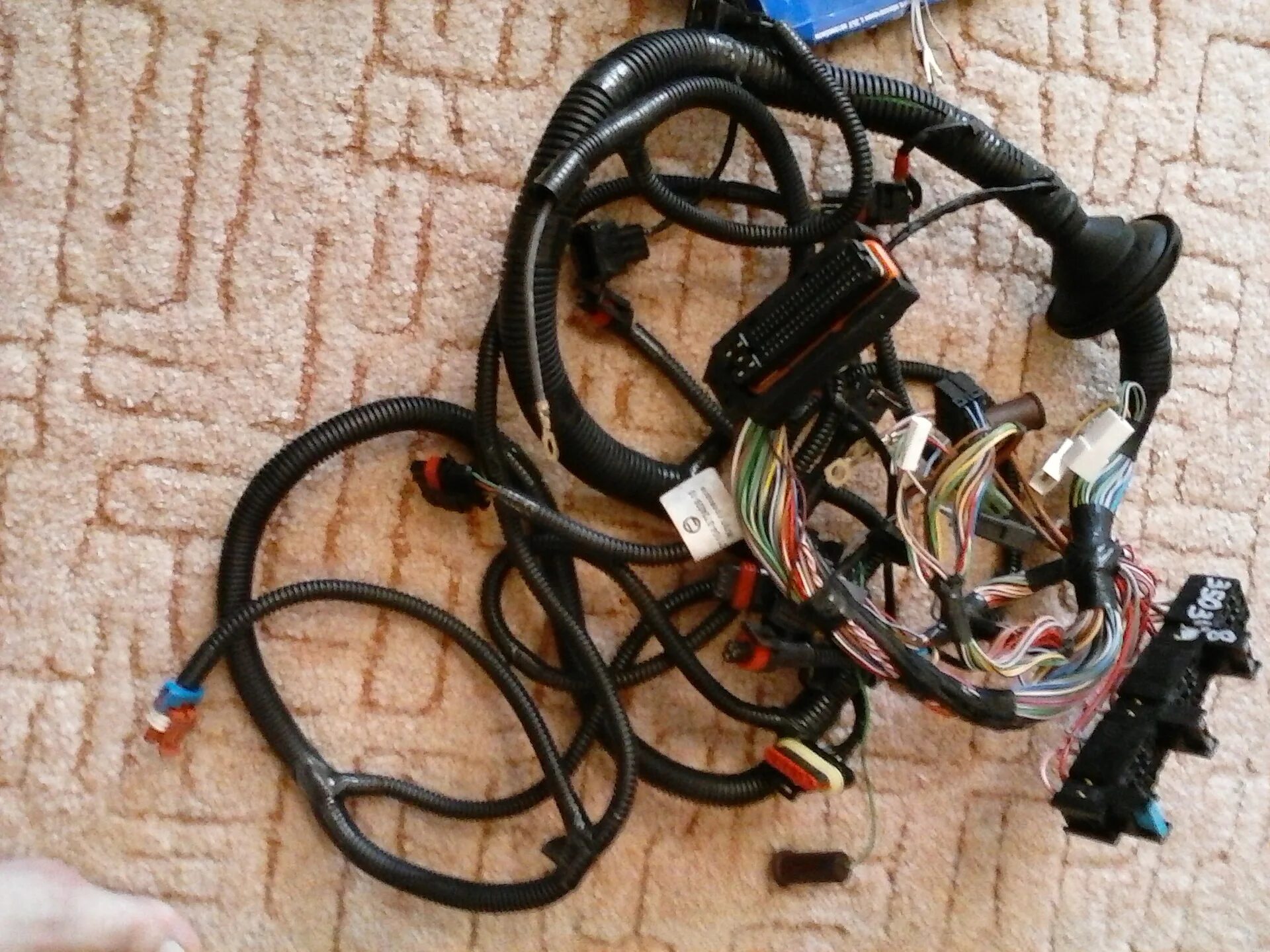 Проводка мозгов. Bmw разъем n55. Коса проводов ваз 2114. Фишка эбу ваз 2114. Проводка для мозгов fly sf compact.