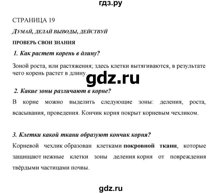 Биология 6 класс учебник сивоглазов плешаков гдз