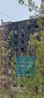 23 ноября 2023 авдеевка