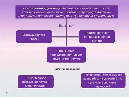К какому виду принадлежит человек