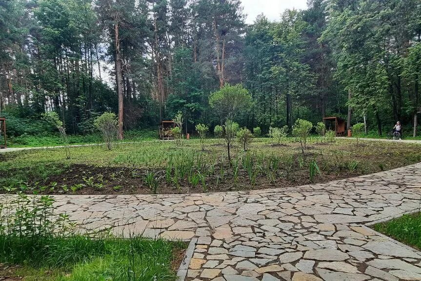 Благоустройство территории парка. В новосибирске открылся парк. Заельцовский парк 2023. Миро парк в новосибирске миропарк. Парк в пойме реки каменка новосибирск проект.