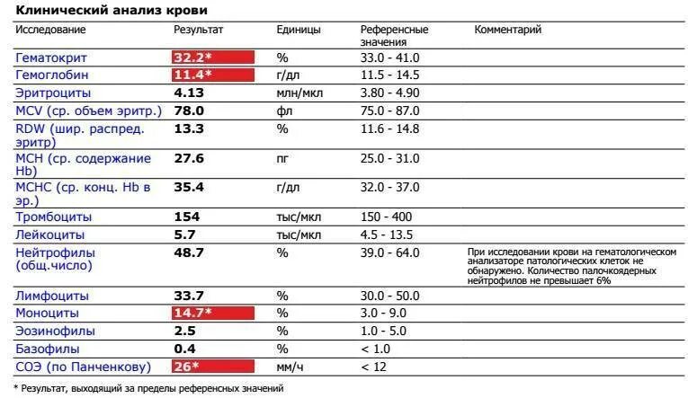 Инфекции показывает общий анализ крови. Общий анализ крови при сифилисе показатели. Общий анализ крови расшифровка бактерия. Анализ крови при вирусной инфекции у ребенка. Общий анализ крови при герпесе показатели.