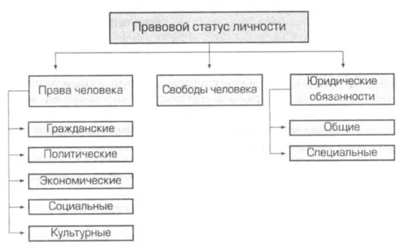 Правовой статус личности схема. Схема структура правового статуса личности в РФ. Составьте схему структура правового статуса личности. Структура правового статуса личности ТГП схема. Виды юридических состояний