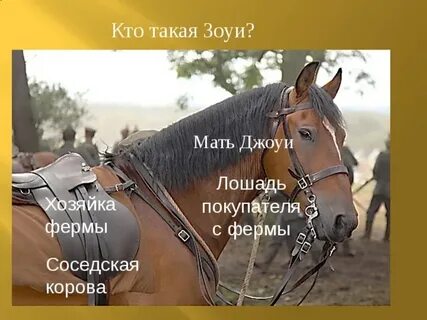 Я подозвал коня