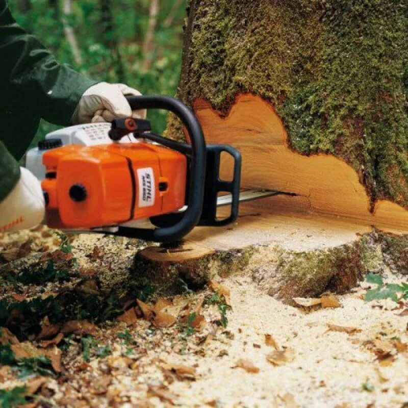 Бензопила штиль МС 661. Stihl бензопила MS 661 C-M. Бензопила Stihl MS 661 С-M Logosol. Бензопила штиль МС 660. Штиль 661