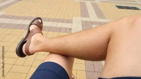 Four legs
