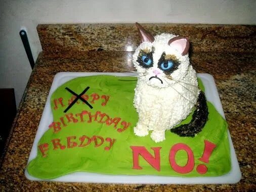 Funny Animal Pictures Of The Day - 23 Pics Funny cat pictures, Funny animals, Fu