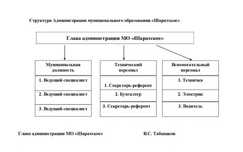 Структура и деятельность муниципальных образований