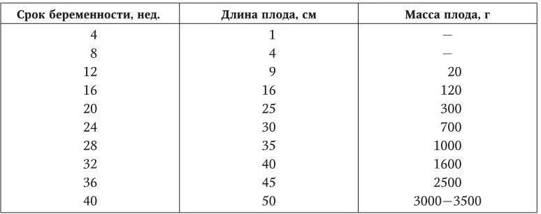 30 недель беременности сколько весит ребенок