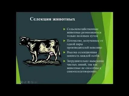 Селекция проверочная
