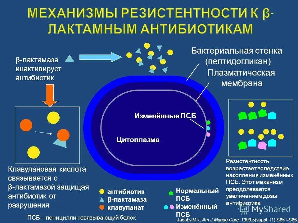 Механизм формирования устойчивости микроорганизмов к антибиотикам. Механизмы резистентности бактерий к антибиотикам. Антибиотики механизм формирования антибиотикорезистентности. Схема механизм устойчивости микробов к антибиотикам. Факторы резистентности организма