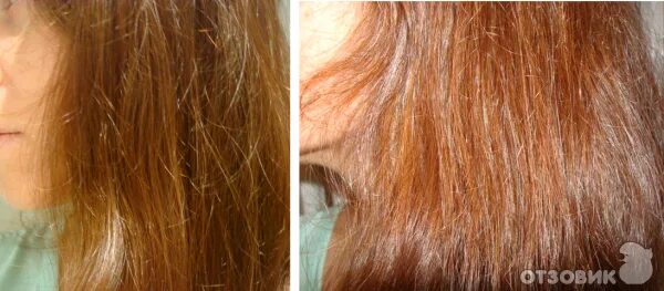 Хна высушила волосы. Хна сушит. Хна смывается. Остается ли хна на коже головы. Хна золотисто русый.