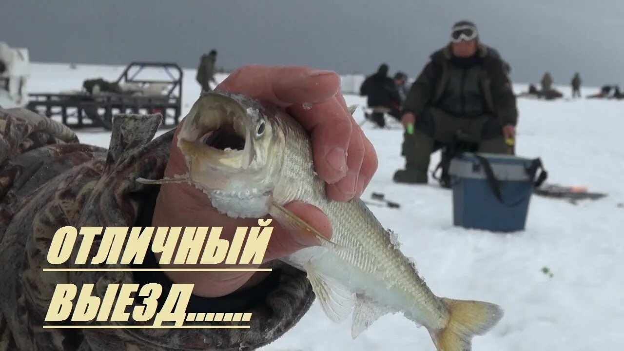 Рыба на севере ловят. Зимняя рыбалка на белом море северодвинск. рыбалка на навагу на белом море. северная рыбалка. корюх рыба на белом море.