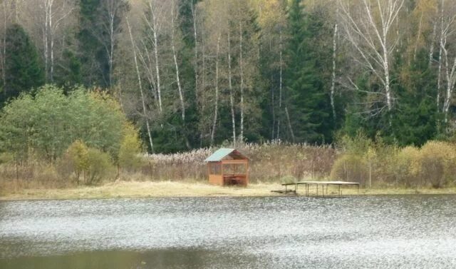 Озеро глубокое петушинский район. Бойковское озеро тверь. Озеро старковское калининский район. Продается озеро. Ниирп сергиев посад озеро.
