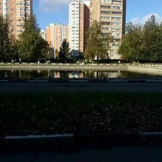 Академика вишневского 1