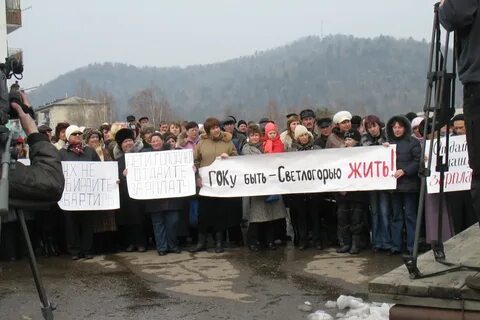 Погода светлогорье пожарский