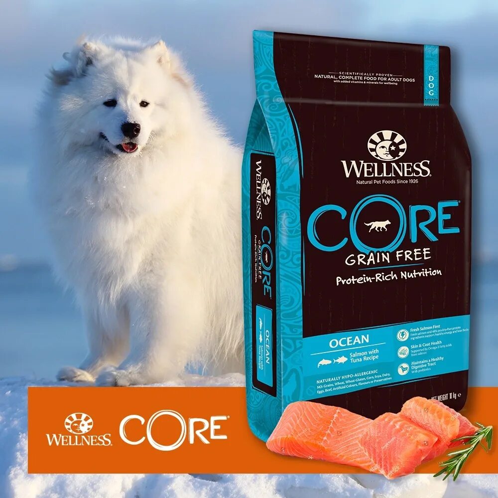 Корм Wellness Core. Корм Core Wellness для собак производитель. Холистик Wellness Core. Корм Core Wellness для собак мелких пород. Wellness корм для собак