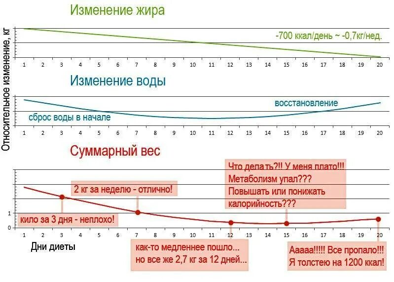 Вес остановился при похудении что делать. Скорость снижения веса. Плато веса. Плато в снижении веса. Оптимальная скорость похудения.