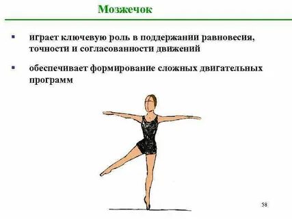 Поддержания равновесия тела человека