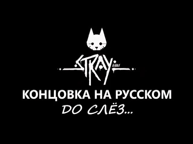 Stray концовка. Все концовки Stray. Концовка стрей