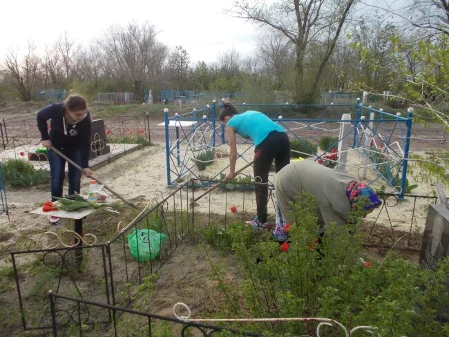 Погода углегорский тацинский ростовская. Погода углегорский тацинский ростовская