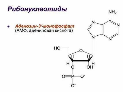 Аденозин это