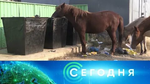 Новости 21.01 24