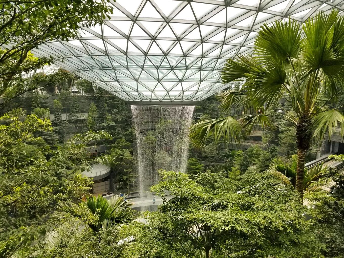 Чанги сады. Аэропорт Jewel Changi, Сингапур. Jewel Changi Airport Моше Сафди. Аэропорт Jewel Changi Архитектор. Аэропорт Чанги Сингапур архитектура.