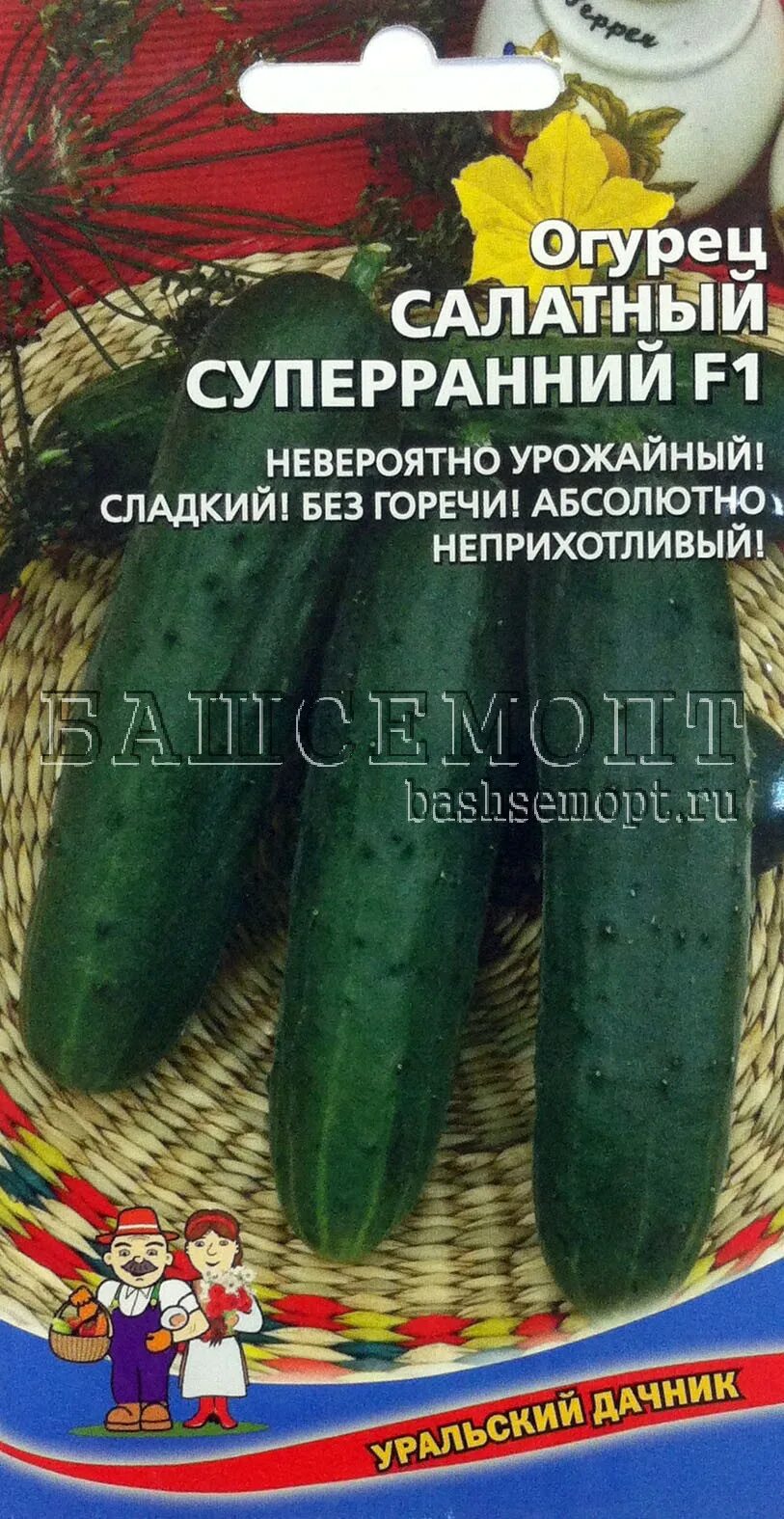 Салатный огурец длинный. Огурец московский салатный f1. Огурец салатный суперранний f1. Сорт огурцов мева. Огурцы салатные сорта.