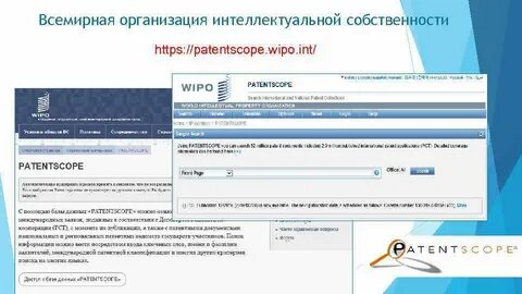 Воис мод