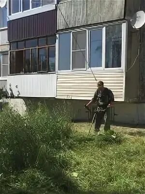 Погода в черни на 14 дней