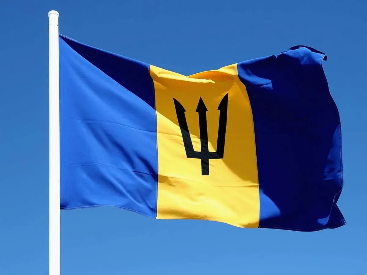 Флаг Барбадоса. Флаг с трезубцем. Голубой флаг с желтым трезубцем. Флаг синий желтый синий с трезубцем. Барбадос флаг