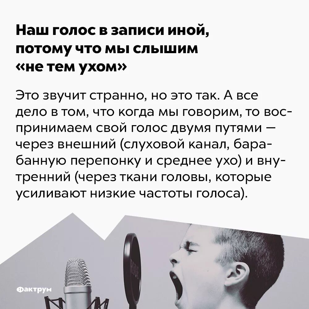 Почему наш голос в аудиозаписи звучит иначе. Факты о голосе. интересное о голосе человека.. наши голоса. свой голос в записи.