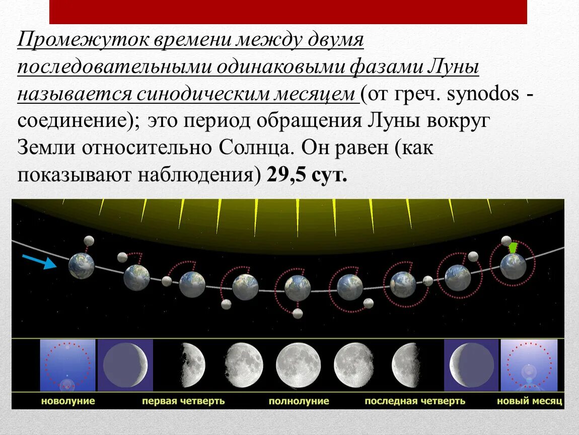 Период обращения Луны вокруг земли. Промежуток времени между двумя последовательными фазами Луны. Цикл Луны. Движение Луны и затмения.