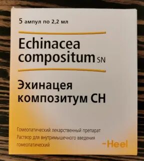 Эхинацея композитум ампулы применение отзывы
