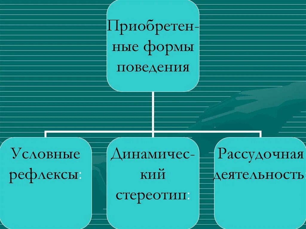 Формы поведения человека. Врожденные формы поведения безусловные рефлексы и инстинкты. Рефлексы формы поведения таблица. Врожденные формы поведения.