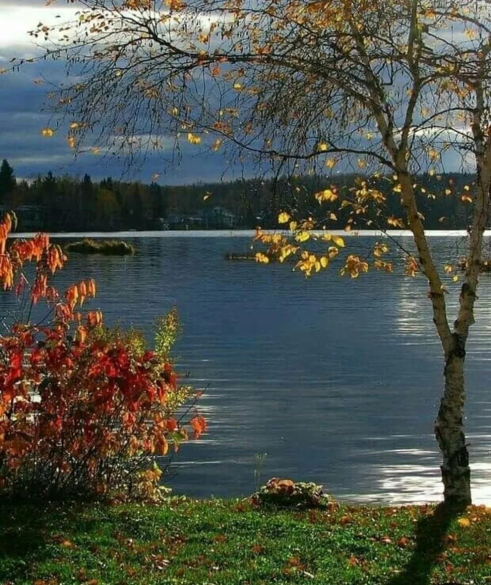 Осень звон. Осеннее озеро. Осенний пейзаж. Осенний мотив. Осенний вечер.
