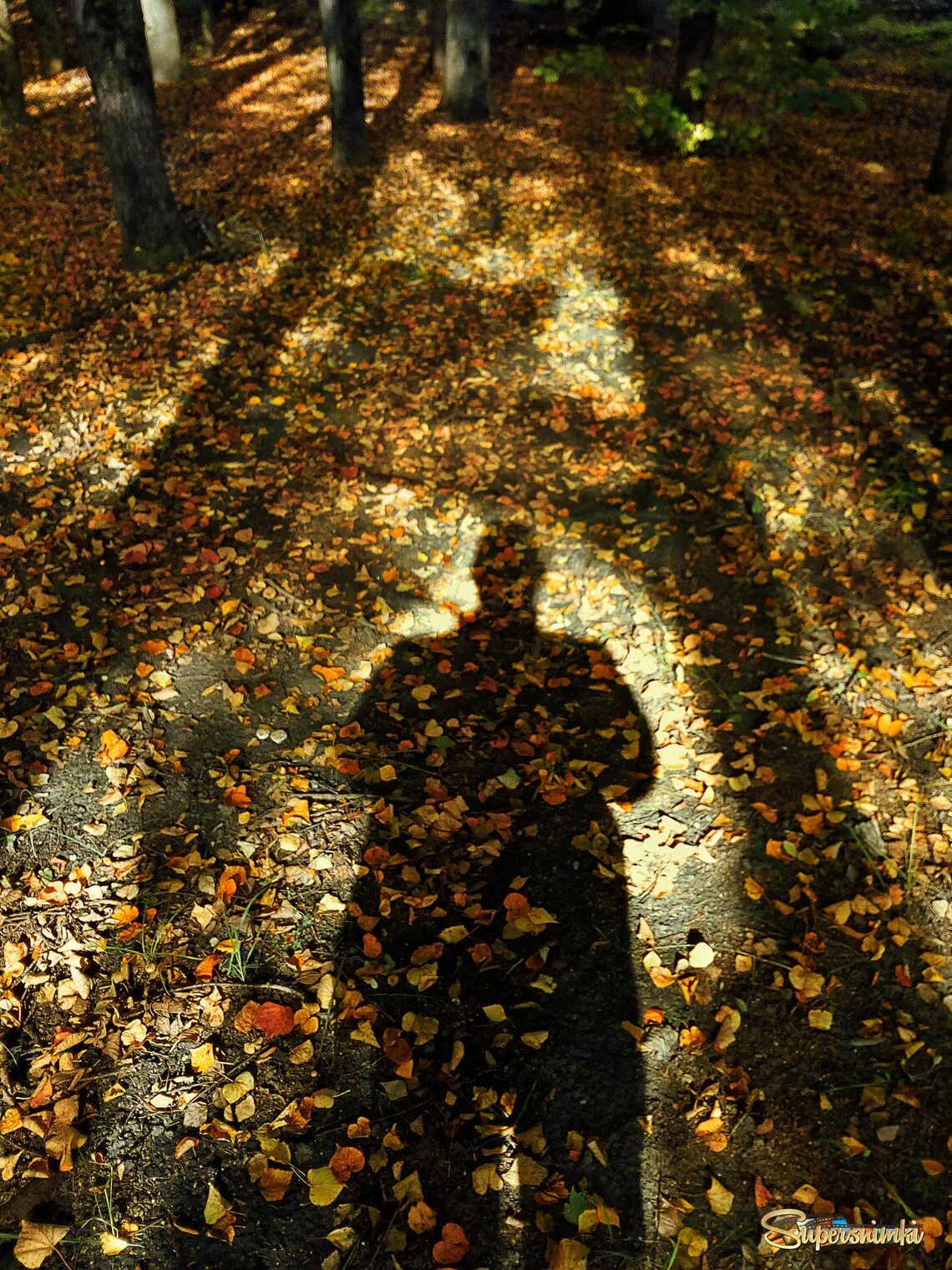 Осень без людей. Осень люди. Люди осенью. Человек тень в осеннем лесу. Осень сквозь человека.