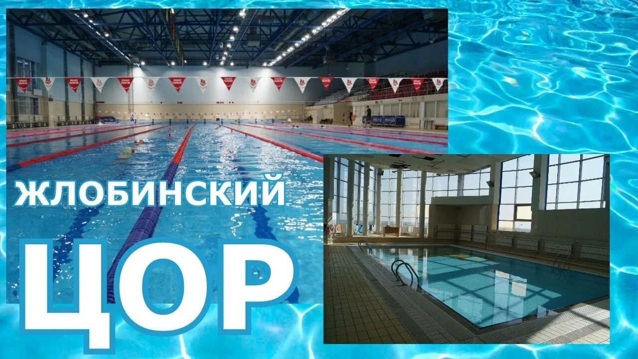Цор жлобин ледовый. Центр олимпийского резерва жлобин. жлобин бассейн. жлобин бассейн ледовый. бассейн цор.